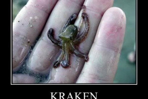 Вход в kraken зеркало