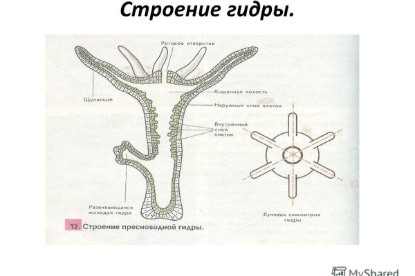 Ссылка на блэкспрут в тор